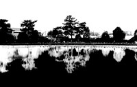 Reflection #1