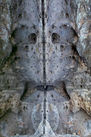 Reflection #2